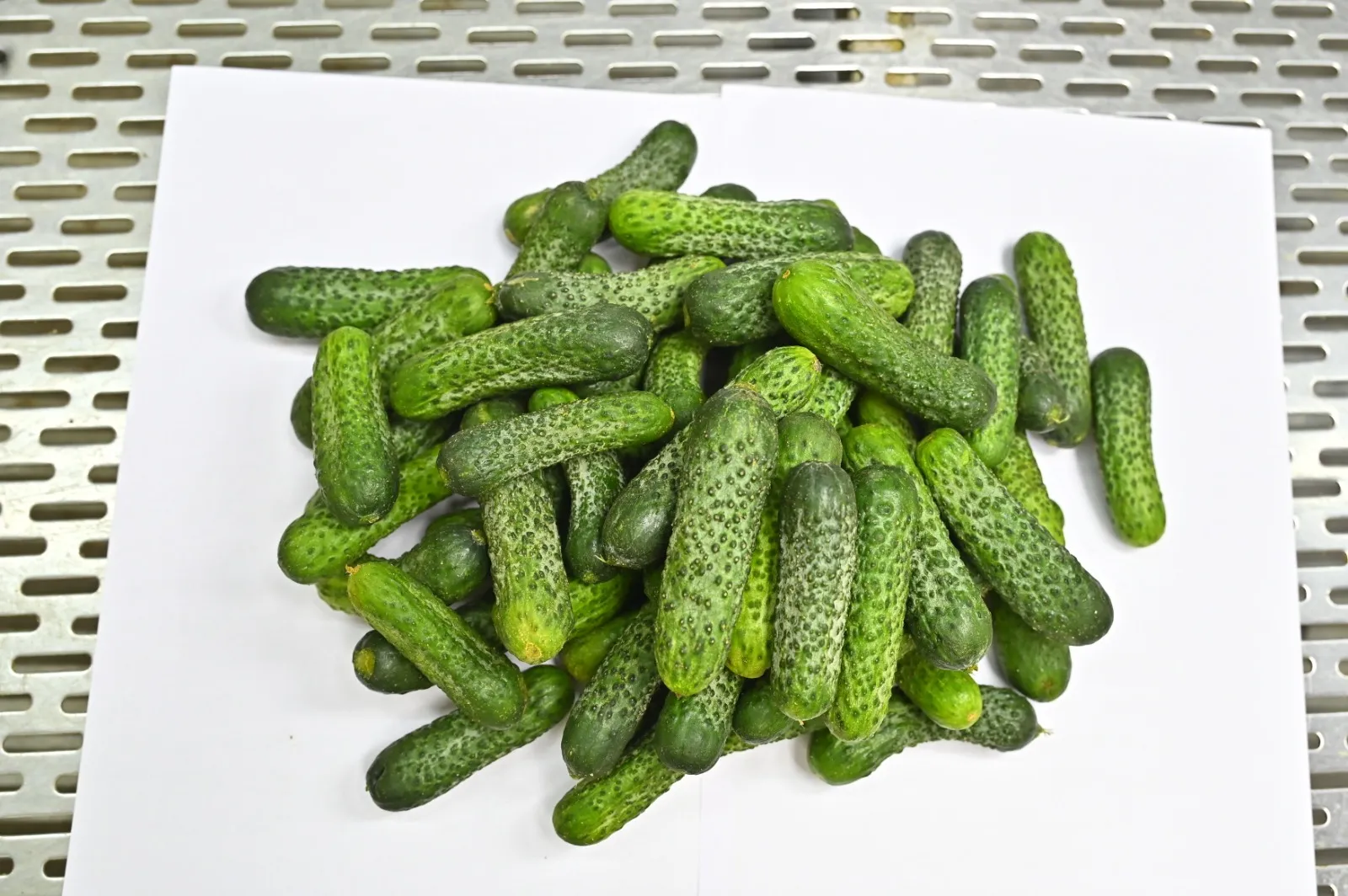 Gherkins