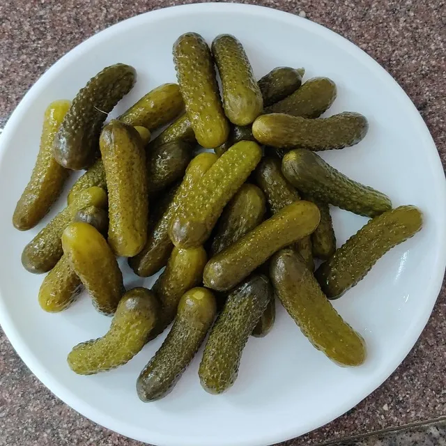 Brined Gherkins