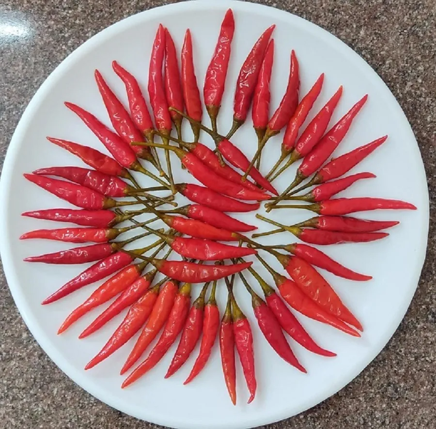 Fresh Red Chilli