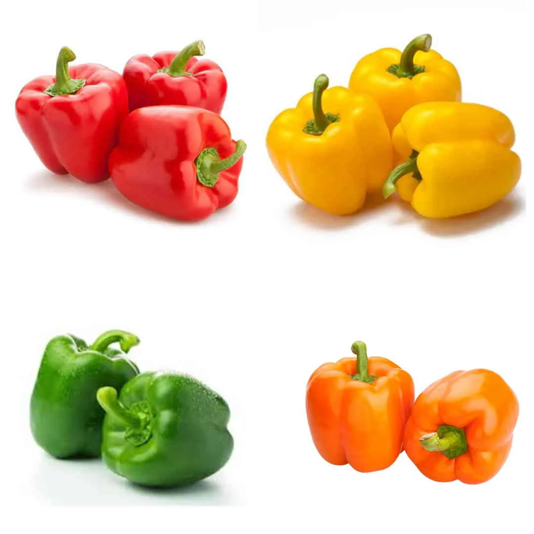 Bell Pepper